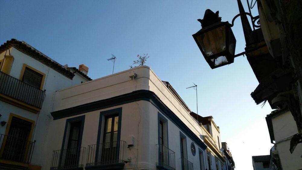 Hostal Azahar Cordoba Exterior photo